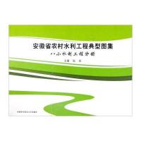 安徽省农村水利工程典型图集:八小水利工程分册9787312039225中国科学技术大学出版社