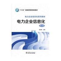 电力企业信息化(D2版)/