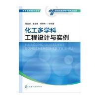 化工多学科工程设计与实例9787122266989化学工业出版社