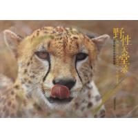 野*天堂录:梁亮镜头中的动物世界9787802368279中国摄影出版社