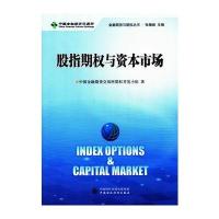 股指期权与资本市场9787509563519中国财政经济出版社
