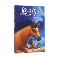 黎明谷的呼唤9787544844963接力出版社