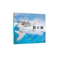 世界名著美绘本?野天鹅9787544541176长春出版社