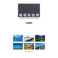 矮塔斜拉桥9787112192663中国建筑工业出版社