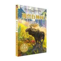 孤兽在林间9787556224852湖南少年儿童出版社