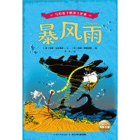 暴风雨9787556049776长江少年儿童出版社