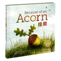 海豚绘本花园?橡果9787556054541长江少年儿童出版社