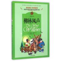 世界经典文学名著宝库?柳林风声(儿童彩图注音版)9787545522976天地出版社