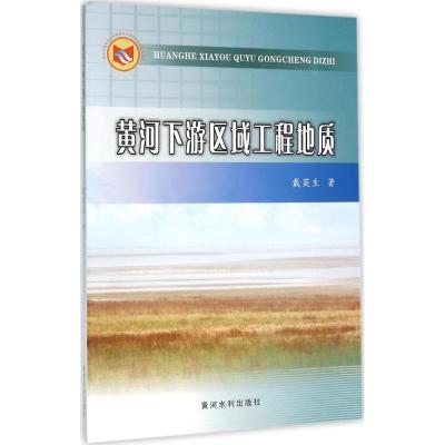 黄河下游区域工程地质9787550912786黄河水利出版社