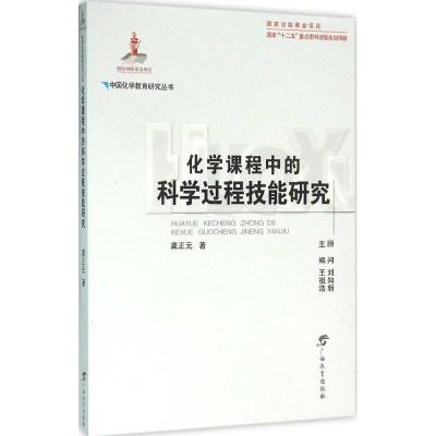 化学课程中的科学过程技能研究9787543580442广西教育出版社