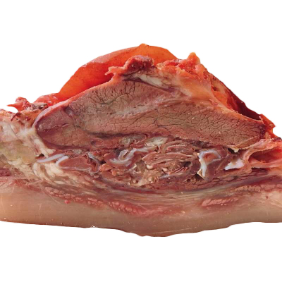 王小肉全熟五香味牛头肉1斤牛脸肉带皮牛肉开袋即食熟食