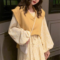 两件套装/单件休闲风2021春季新款马甲宽松背心碎花马甲连衣裙串得起