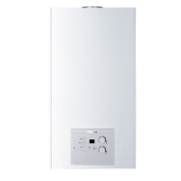 Haier/海尔 家用燃气壁挂炉(天然气) L1PB20-HT1(T) 生活采暖两用炉 20KW 三级防冻 低压启动