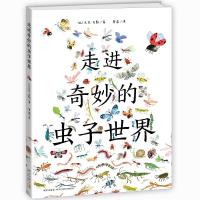 爱心树科学馆：走进奇妙的虫子世界（精装绘本） 