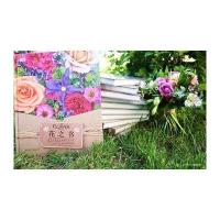 电工社】花之书 感知并塑造花朵的生命与美 苏丽侠 电子工业出版社