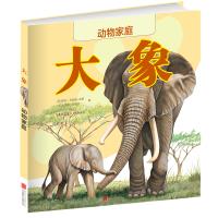  动物家庭系列：大象（精装绘本） 