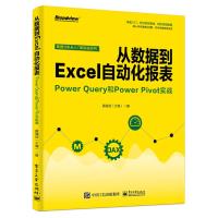 电工社】从数据到Excel自动化报表 Power Query和Power Pivot实战 黄海剑 大海 电子工业出版