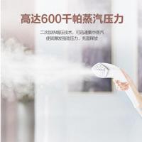 飞利浦 (Philips) 蒸汽挂烫机 GC627/68 家用手持/挂式电熨斗双杆带烫衣板2200W五档调节熨衣