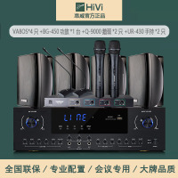 Hivi/惠威VA8-OS中小型会议室音响套装 会议音箱系统设备全套无线话筒背景音乐 黑色套餐二