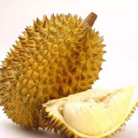 泰国进口金枕榴莲 单果3kg以上