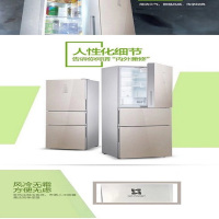 BCD-263WTGEW波尔卡金