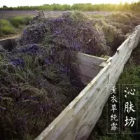[苏宁优选]古法薰衣纯露500ml 饱和天然控油痘痘爽肤花水富含精油