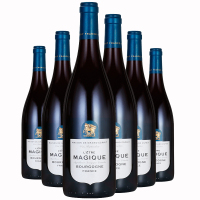 光之颂亿 盛境系列 勃艮第干红葡萄酒 750ml*6 法国原瓶进口红酒