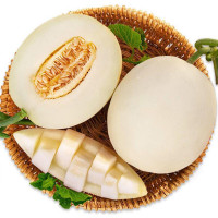 陕西阎良甜瓜 白皮甜瓜 新鲜应季水果 香瓜 带箱5斤(净果4.5斤)