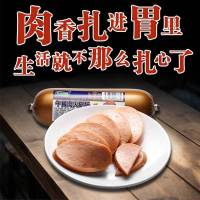 龙大肉食火腿肠早餐三文治火锅麻辣香锅泡面食材方便速食午餐肉400g