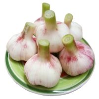 [10斤装]ZY 新鲜紫皮大蒜批发大蒜头河南紫皮大蒜新蒜头湿蒜糖醋蒜现挖3斤5斤10斤甘鲜生