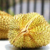 单果2-3斤试吃装 泰国特级金枕榴莲特大果13-2斤进口水果当季现摘非猫山王甲仑干荛[预售]甘鲜生