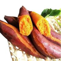 [10斤精选中果]新鲜红薯沙地蜜薯山芋番薯小香薯地瓜净重10/5/2斤甘鲜生