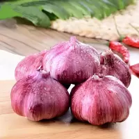 [3斤实惠装] 云南现挖新鲜大蒜头批发2/3/5/10斤紫皮大蒜嫩蒜可腌糖蒜新鲜蔬菜甘鲜生
