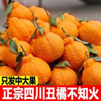 [带箱10斤][精品中果] 四川不知火丑橘10斤丑八怪橘子水果新鲜丑桔2/5斤甘鲜生