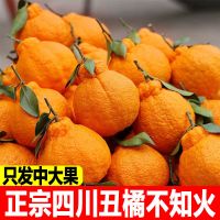 [5斤大果][精选品质没得挑] 正宗四川不知火丑橘丑八怪橘子柑橘子丑柑清香橘批发蜜橘甘鲜生