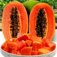 [带箱10斤装] 现摘新鲜广西红心牛奶木瓜高山木瓜新鲜水果青木瓜非海南木瓜云南糖心木瓜甘鲜生