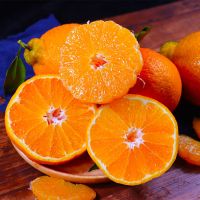 带箱10斤中果[果园直发酸甜可口] 正宗四川不知火丑橘丑八怪橘子柑橘子丑柑非耙耙柑清香橘批发蜜橘甘鲜生