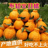 [带箱10斤][精品大果]正宗四川不知火丑橘丑八怪橘子柑橘子丑柑清香橘批发蜜橘甘鲜生