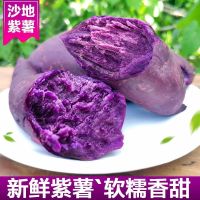 [10斤精选大果 ]紫薯新鲜紫薯山东沂蒙山紫薯沙地紫薯地瓜紫心红薯紫地瓜2/5/10斤甘鲜生
