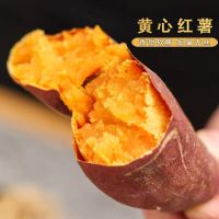 5斤小薯 [现挖现发]沙地红薯新鲜板栗香蕃薯蔬菜当季整箱甘鲜生