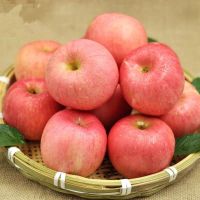 精选果[带箱10斤大果][净果8.5-9斤] 正宗陕西洛川红富士苹果礼盒装新鲜苹果冰糖心5/10可批发甘鲜生