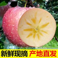 精选大果【净重9斤】甜脆多汁 脆甜爽口】现摘山西冰糖心野生丑苹果10斤批发新鲜当季水果红富士甘鲜生