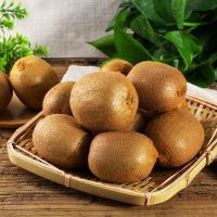 【5斤家庭装】（精品大果） 陕西绿心猕猴桃3/5/10斤装新鲜水果奇异果当季孕妇水果一整箱批发甘鲜生