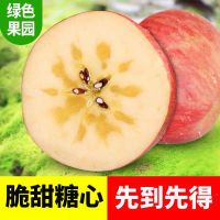 糖心果（精选推荐） 带箱9.7-10斤【大果更大更好】 苹果水果冰糖心丑苹果水果新鲜5/10斤当季水果新疆苹果阿克苏