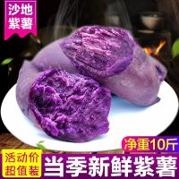 10斤装(优选小果) 紫薯新鲜紫薯山东沂蒙山紫薯沙地紫薯地瓜紫心红薯紫地瓜2/5/10斤甘鲜生