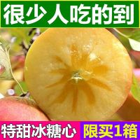 10斤品质装[带箱约9.8斤]中果 山西临猗土高坡红富士丑苹果5/10斤带箱新鲜水果批发非阿克苏甘鲜生