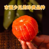 中大果(65-75mm)带箱5斤 [现摘现发]中华红橙血橙红心红肉橙3/5/2斤装当季新鲜孕妇水果甘鲜生
