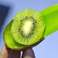 30粒中果(80-100g) 陕西绿心猕猴桃5斤新鲜奇异果水果弥猴桃30-15粒(单果60-200克)甘鲜生