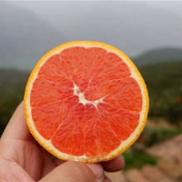 【买3斤送2斤】净果5斤 小果【55-60mm】 现摘中华红血橙子脐橙新鲜孕妇水果(单果100-150g)10/9/5斤