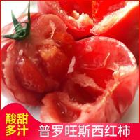 普罗旺斯西红柿(精品)[3斤精选果]普罗旺斯沙瓤水果西红柿5斤洋柿子新鲜水果蔬菜露天自然熟番茄甘鲜生